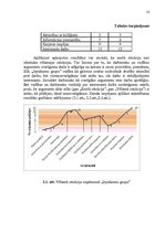 Referāts 'Darbinieku motivācijas līmeņa paaugstināšanas projekts', 20.