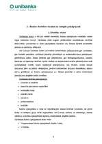 Prakses atskaite 'Prakses atskaite bankā', 9.