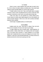 Referāts 'Personas psiholoģiskais raksturojums', 6.