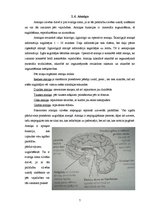 Referāts 'Personas psiholoģiskais raksturojums', 7.