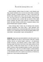 Referāts 'Mārketings sociālajos tīklos', 4.