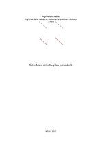 Paraugs 'Sabiedrisko attiecību plāns pamatskolā', 1.