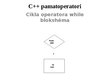 Prezentācija 'C++ pamatoperatori', 17.