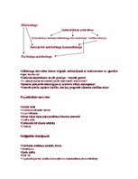 Konspekts 'Guerilla Marketing jeb partizānu mārketings', 2.