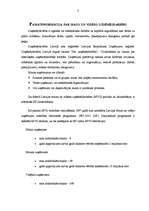 Referāts 'Mazā un vidējā uzņēmējdarbība Latvijā', 3.