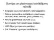 Prezentācija 'Gumijas un plastmasas izstrādājumu ražošana', 3.