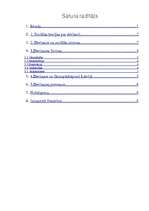 Referāts 'Sociālā deviance', 3.