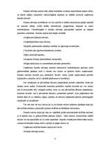 Diplomdarbs 'Uzņēmuma finansiālā stāvokļa analīze', 11.