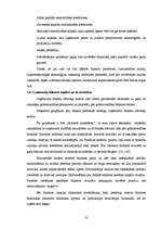 Diplomdarbs 'Uzņēmuma finansiālā stāvokļa analīze', 22.