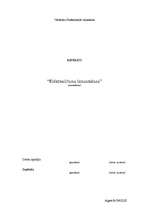 Referāts 'Elektrosiltuma izmantošana', 1.