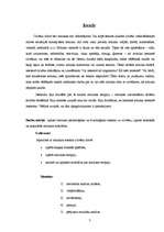 Referāts 'Mūzikas ietekme uz cilvēku', 3.