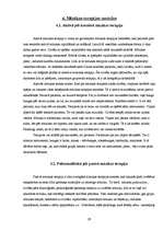 Referāts 'Mūzikas ietekme uz cilvēku', 29.