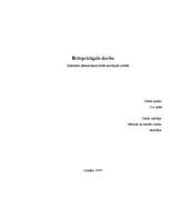 Referāts 'Brīvprātīgais darbs', 1.