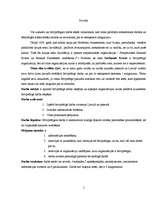 Referāts 'Brīvprātīgais darbs', 5.