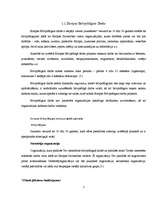 Referāts 'Brīvprātīgais darbs', 7.