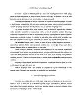 Referāts 'Brīvprātīgais darbs', 9.