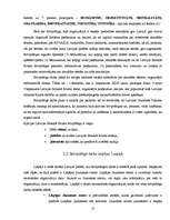 Referāts 'Brīvprātīgais darbs', 13.