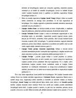 Referāts 'Brīvprātīgais darbs', 14.