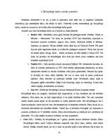 Referāts 'Brīvprātīgais darbs', 16.