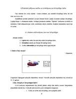 Referāts 'Brīvprātīgais darbs', 19.