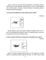 Referāts 'Brīvprātīgais darbs', 21.