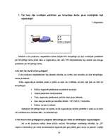 Referāts 'Brīvprātīgais darbs', 24.