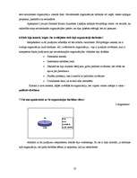 Referāts 'Brīvprātīgais darbs', 25.