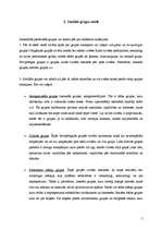 Referāts 'Sociālās grupas', 5.
