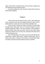 Referāts 'Sociālās grupas', 12.