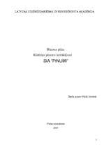 Biznesa plāns 'Biznesa plāns SIA "Pinumi"', 1.