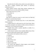 Biznesa plāns 'Biznesa plāns SIA "Pinumi"', 7.