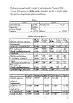 Biznesa plāns 'Biznesa plāns SIA "Pinumi"', 13.