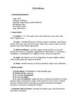 Konspekts 'Dižzirdzene', 1.