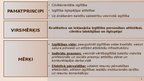 Prezentācija 'Izglītības attīstības pamatnostādnes  2021.-2027.gadam «Nākotnes prasmes nākotne', 4.