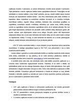 Prakses atskaite 'Uzņēmuma "X" komercdarbības organizācija', 7.