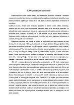 Prakses atskaite 'Uzņēmuma "X" komercdarbības organizācija', 13.