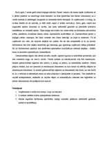 Prakses atskaite 'Uzņēmuma "X" komercdarbības organizācija', 14.