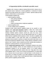 Prakses atskaite 'Uzņēmuma "X" komercdarbības organizācija', 15.