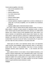 Prakses atskaite 'Uzņēmuma "X" komercdarbības organizācija', 16.