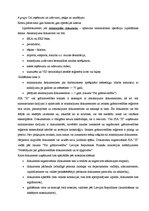 Prakses atskaite 'Uzņēmuma "X" komercdarbības organizācija', 21.