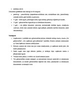 Prakses atskaite 'Uzņēmuma "X" komercdarbības organizācija', 22.