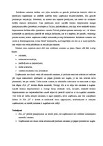 Prakses atskaite 'Uzņēmuma "X" komercdarbības organizācija', 24.