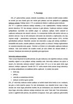 Prakses atskaite 'Uzņēmuma "X" komercdarbības organizācija', 25.