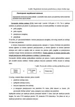 Prakses atskaite 'Uzņēmuma "X" komercdarbības organizācija', 28.