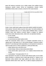 Prakses atskaite 'Uzņēmuma "X" komercdarbības organizācija', 31.