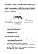 Prakses atskaite 'Uzņēmuma "X" komercdarbības organizācija', 32.