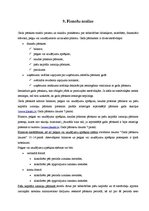 Prakses atskaite 'Uzņēmuma "X" komercdarbības organizācija', 34.