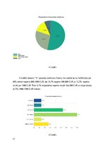 Referāts 'X un Y paaudžu kopīgais un atšķirīgais lēmuma pieņemšanā par telefona iegādi', 17.
