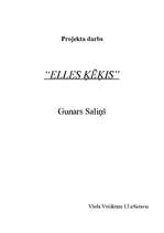 Referāts '"Elles ķēķis" (Gunars Saliņš)', 1.