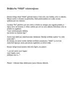 Referāts '"Elles ķēķis" (Gunars Saliņš)', 11.